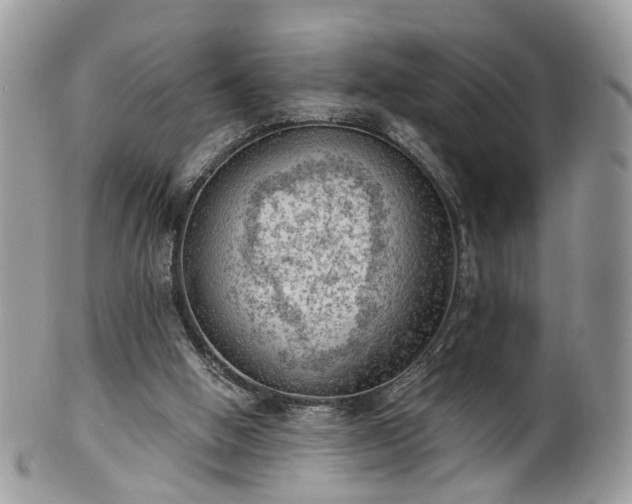 X0000100410058200806131045