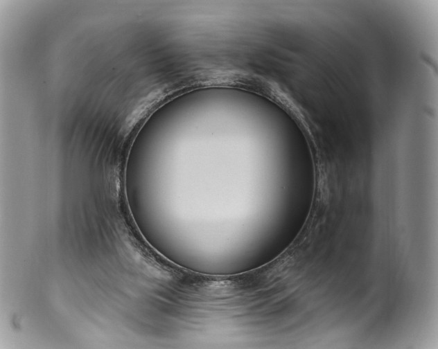 X0000100410059200806131045