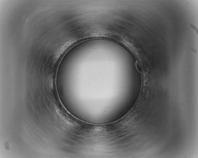 X0000100410060200806131045