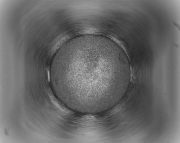 X0000100410061200806131045