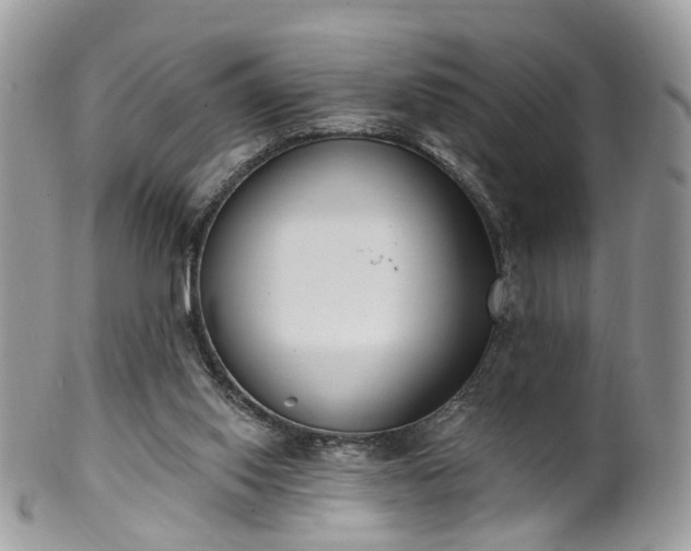 X0000100410062200806131045