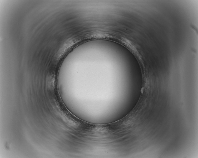 X0000100410063200806131045