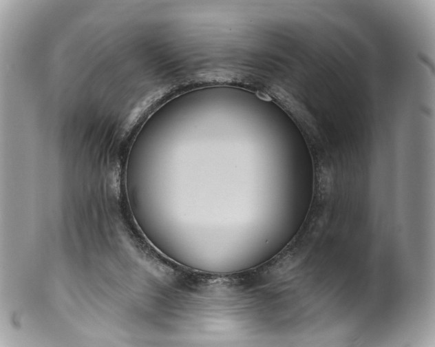 X0000100410064200806131045