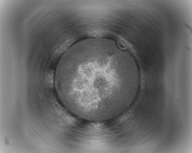 X0000100410065200806131045