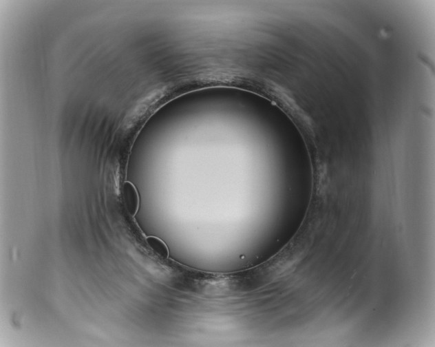 X0000100410068200806131045