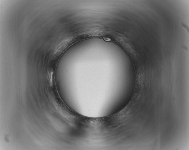 X0000100410070200806131045