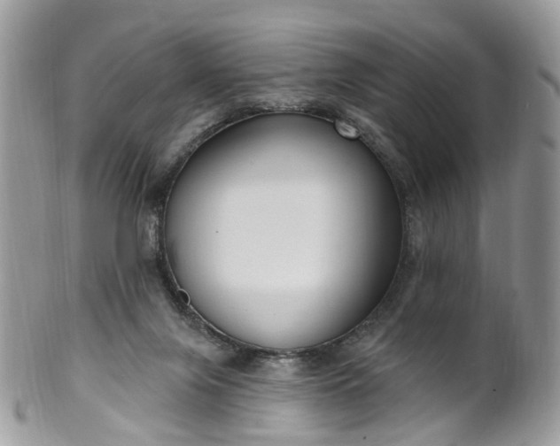 X0000100410071200806131045