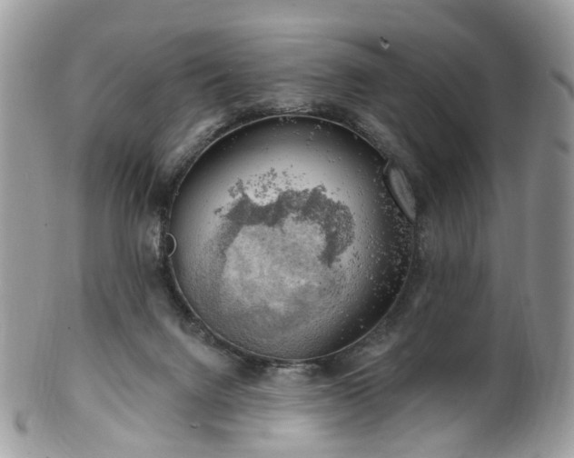 X0000100410072200806131045