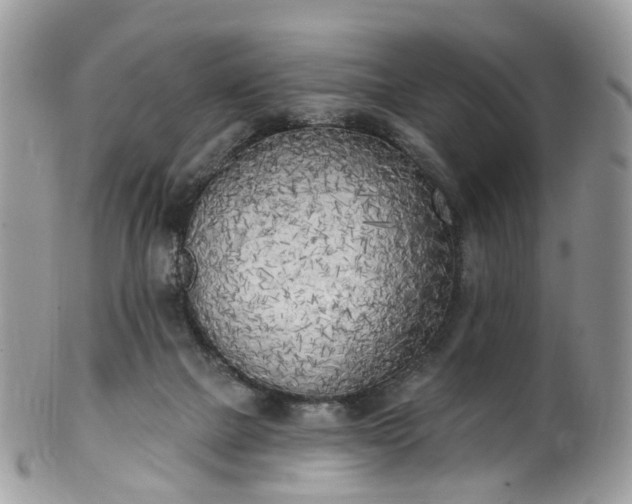 X0000100410073200806131045