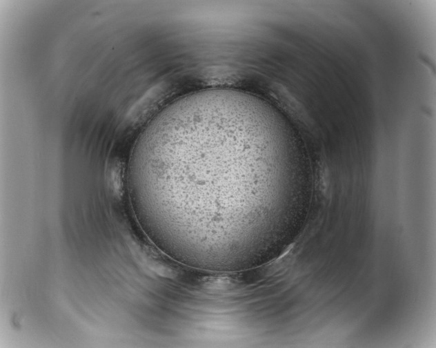 X0000100410074200806131045