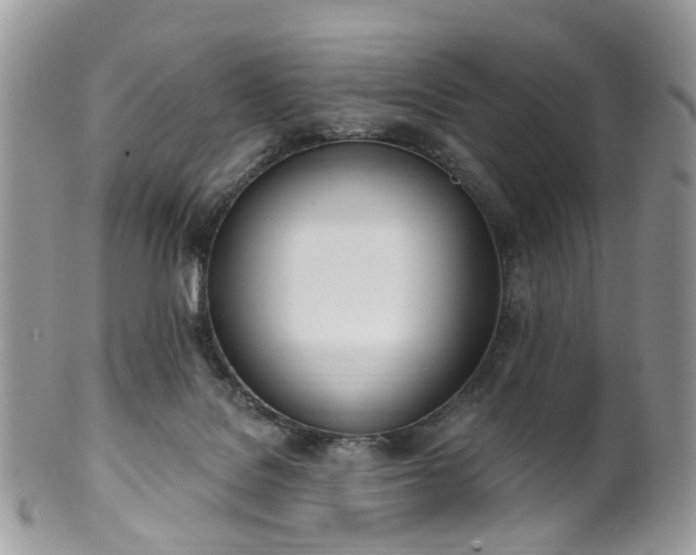 X0000100410076200806131045