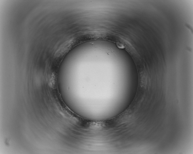 X0000100410077200806131045