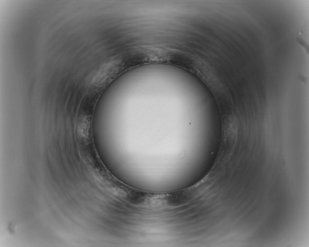 X0000100410078200806131045