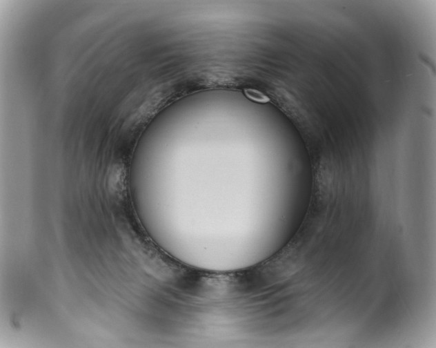 X0000100410079200806131045