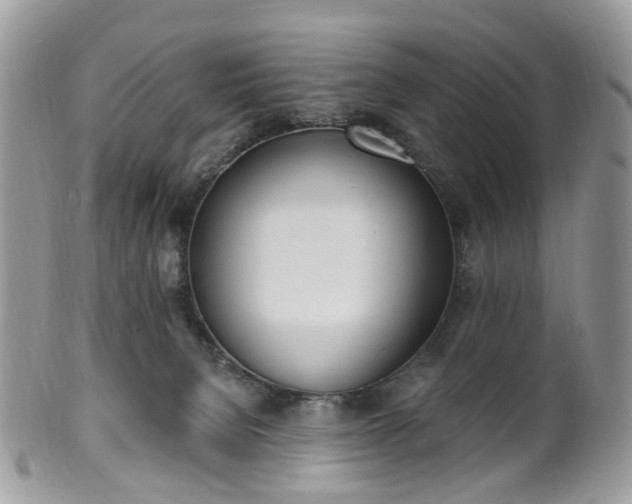 X0000100410080200806131045