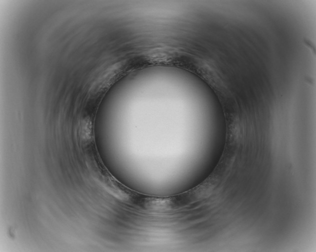 X0000100410081200806131045