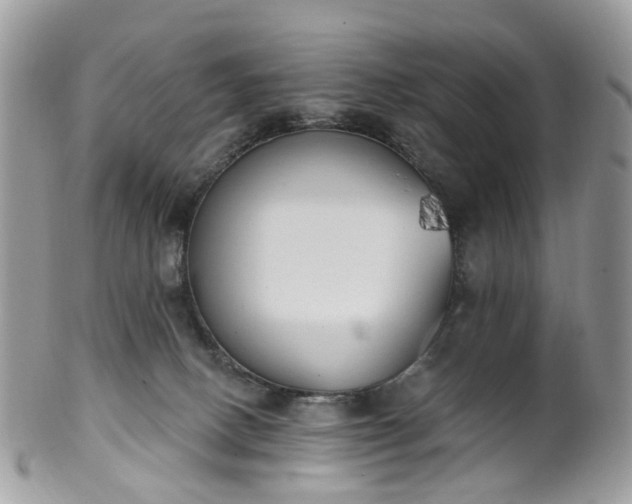X0000100410082200806131045