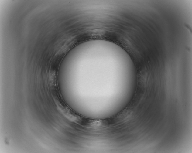 X0000100410083200806131046