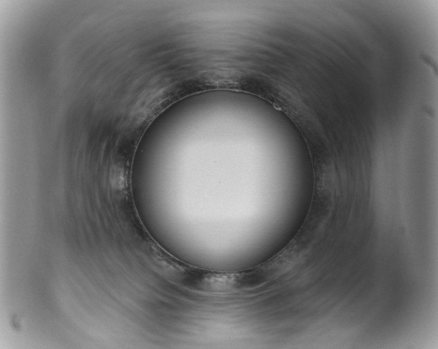 X0000100410084200806131046