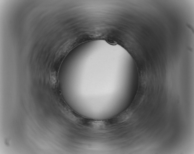 X0000100410085200806131046