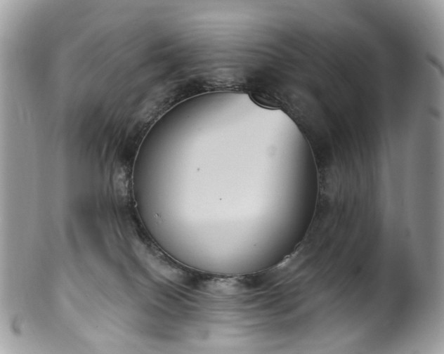 X0000100410086200806131046