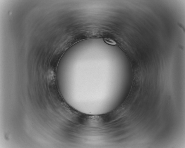 X0000100410087200806131046