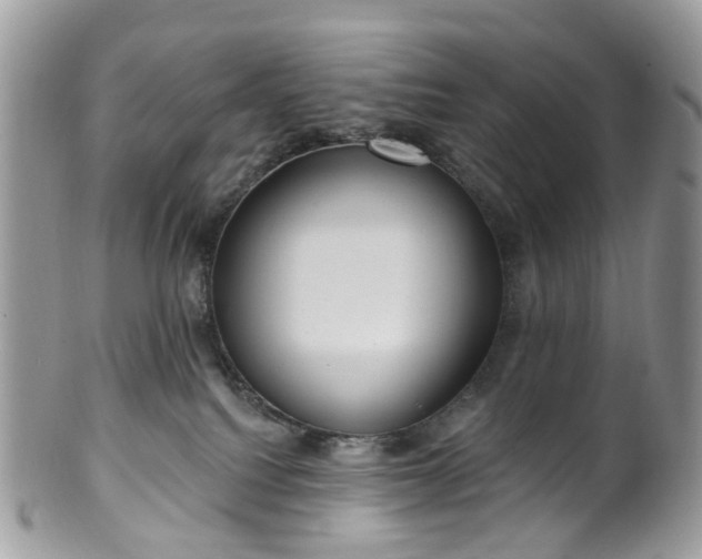 X0000100410088200806131046