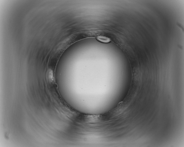 X0000100410089200806131046