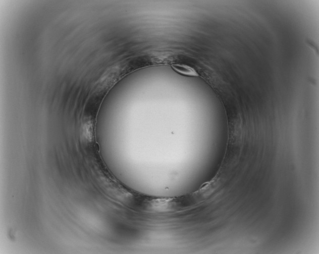 X0000100410090200806131046