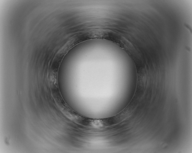 X0000100410091200806131046