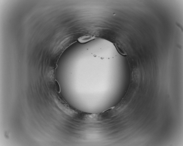 X0000100410092200806131046