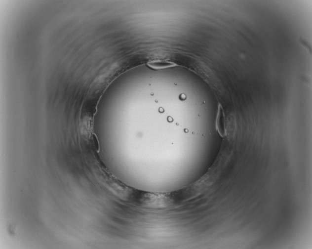 X0000100410093200806131046