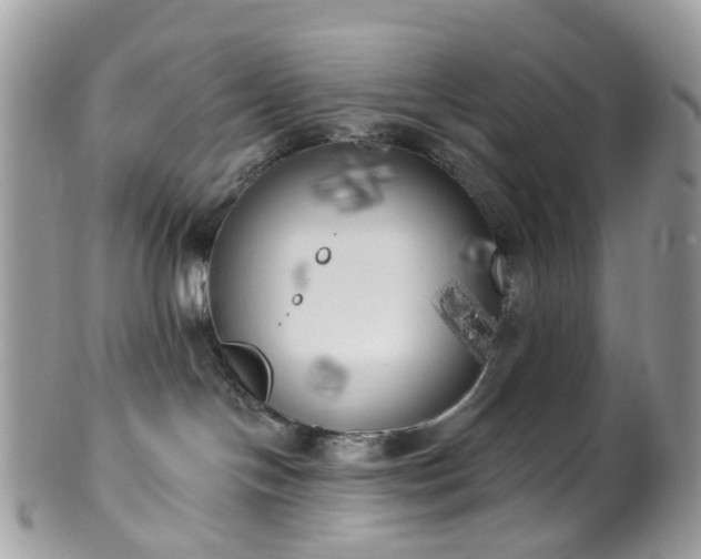 X0000100410094200806131046