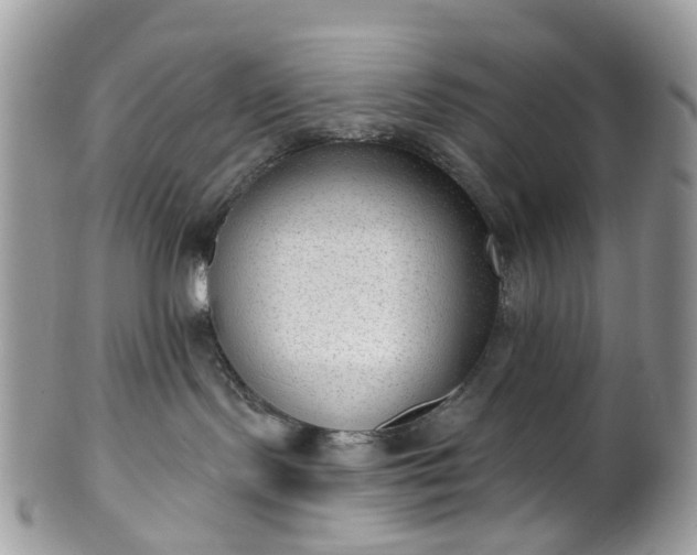 X0000100410095200806131046