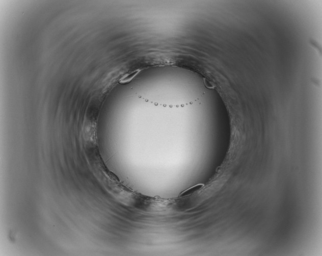 X0000100410096200806131046