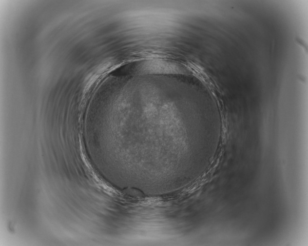 X0000100410097200806131045