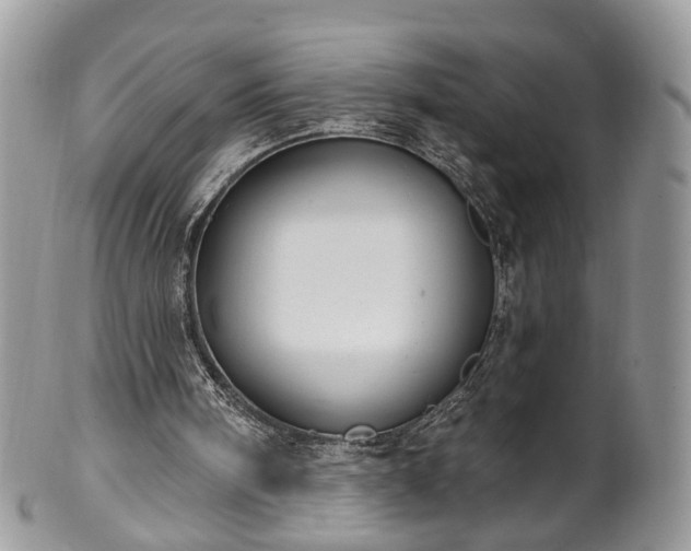 X0000100410098200806131045