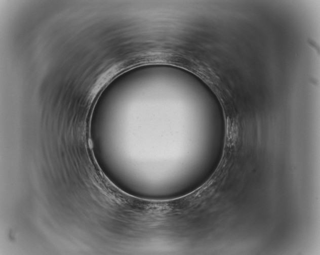 X0000100410099200806131045