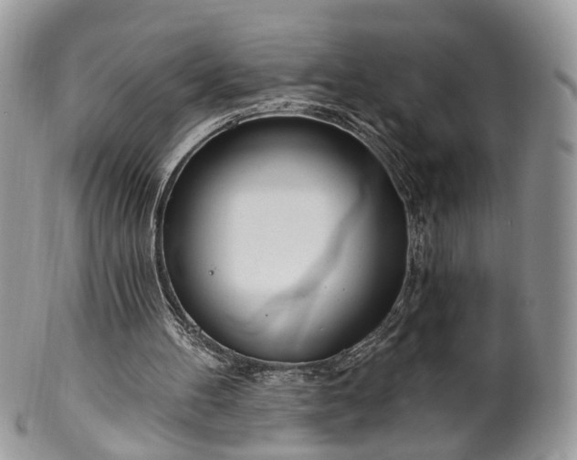 X0000100410100200806131045