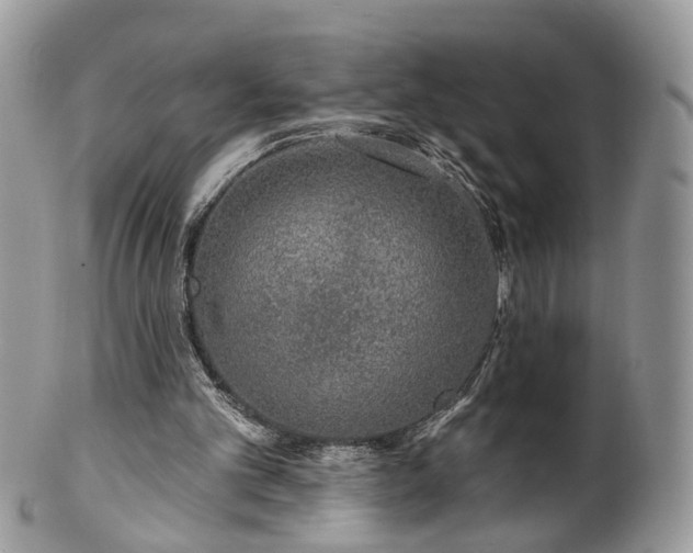 X0000100410101200806131045