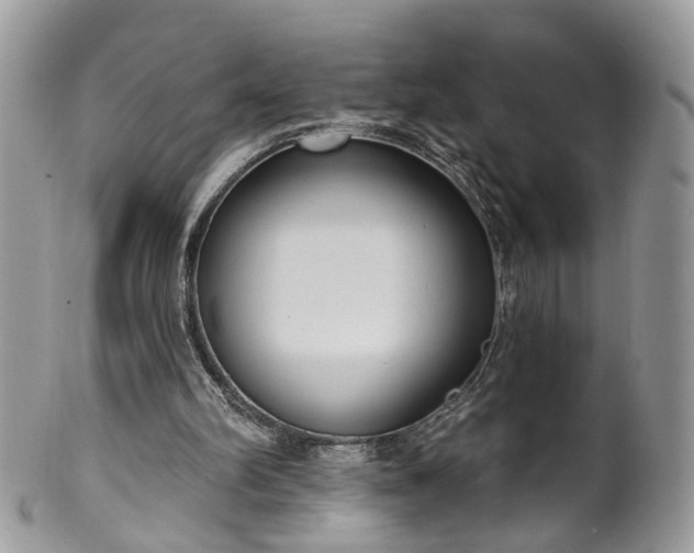 X0000100410102200806131045