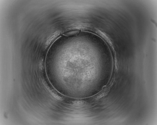 X0000100410105200806131045