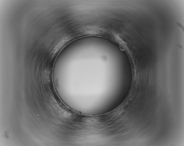 X0000100410106200806131045