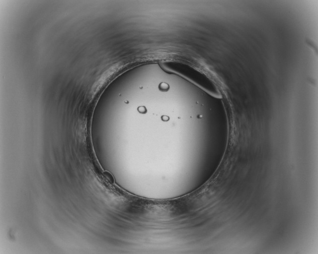 X0000100410107200806131045