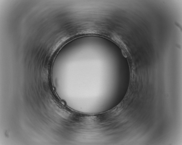 X0000100410108200806131045