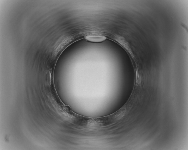 X0000100410109200806131045