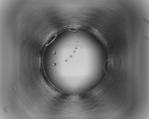 X0000100410110200806131045