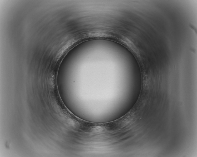 X0000100410111200806131045