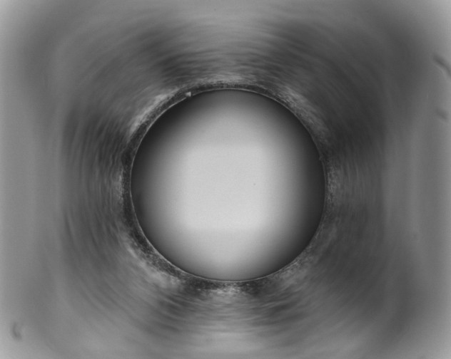 X0000100410112200806131045