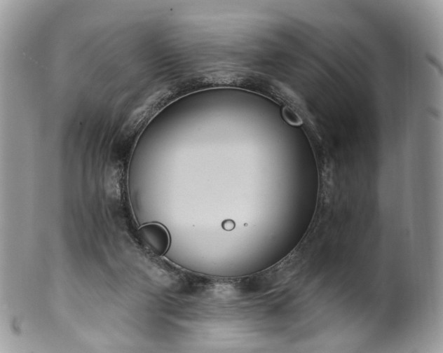 X0000100410114200806131045